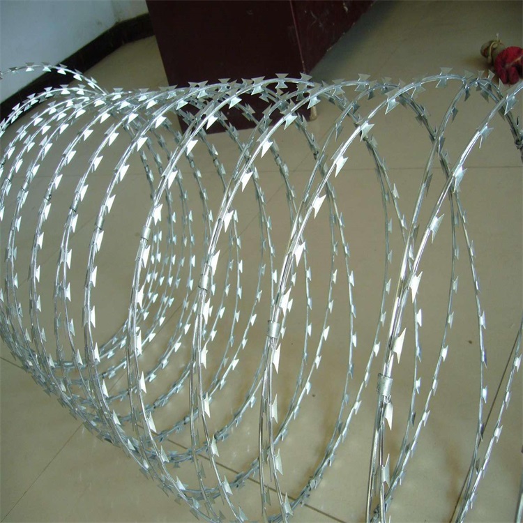 帶刺圍墻網(wǎng)圖片1