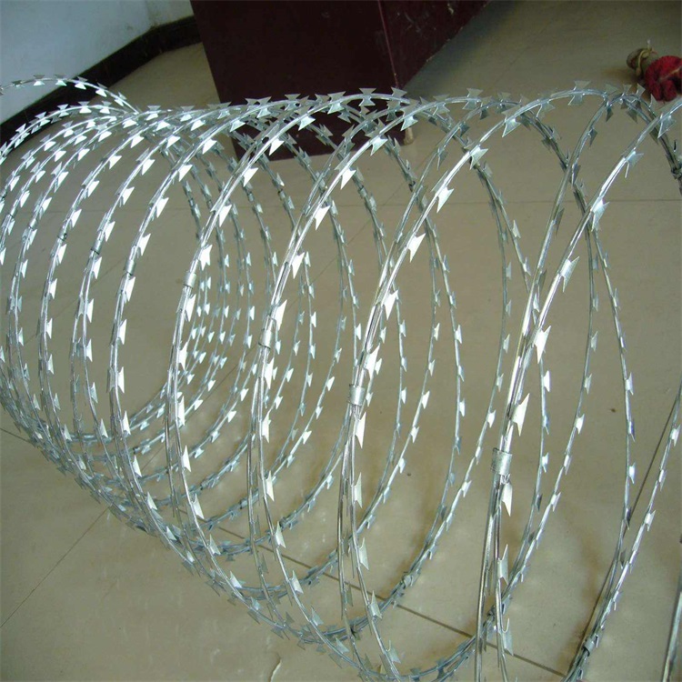 刺絲滾籠圖片3
