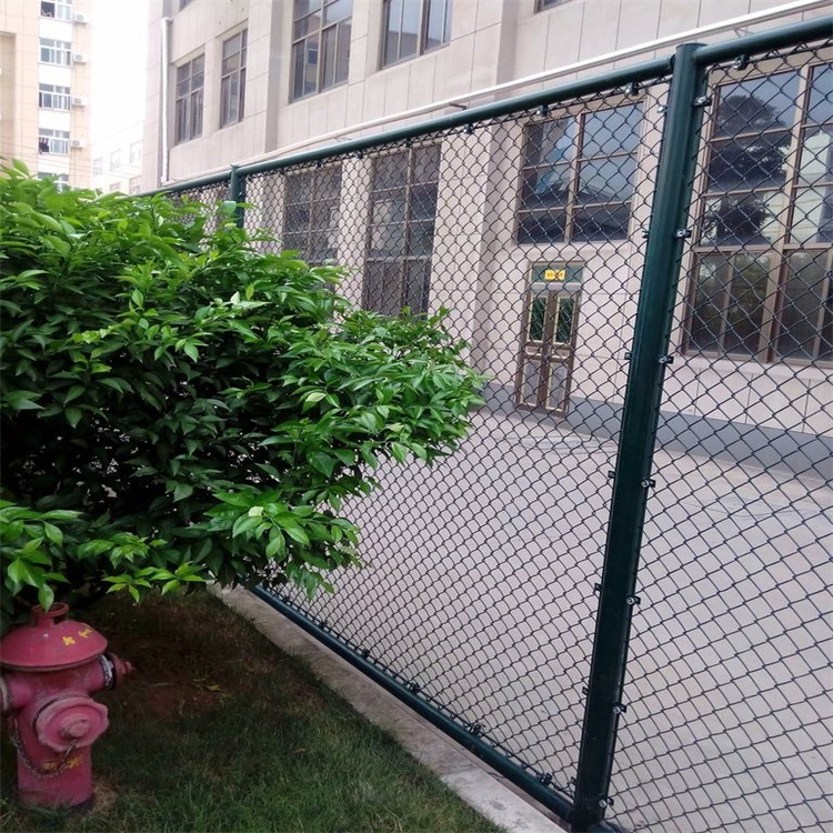 學(xué)校圍墻隔離柵圖片3