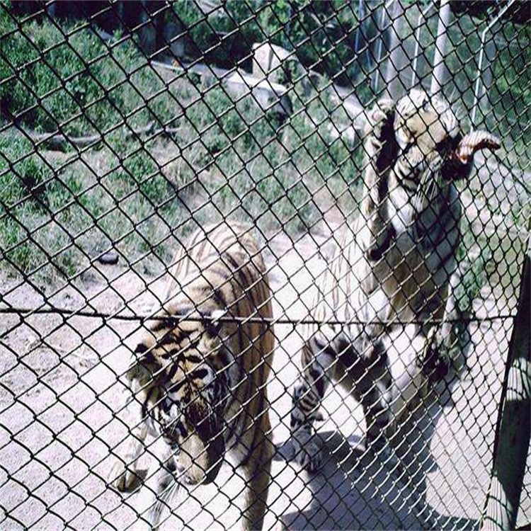動(dòng)物園圍欄網(wǎng)圖片2