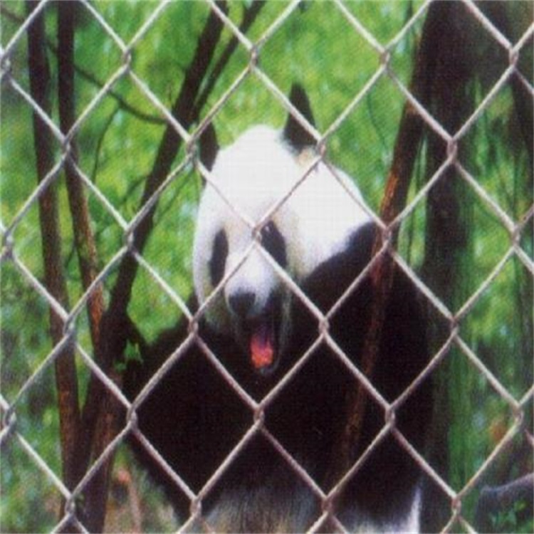 動(dòng)物園圍欄網(wǎng)圖片4