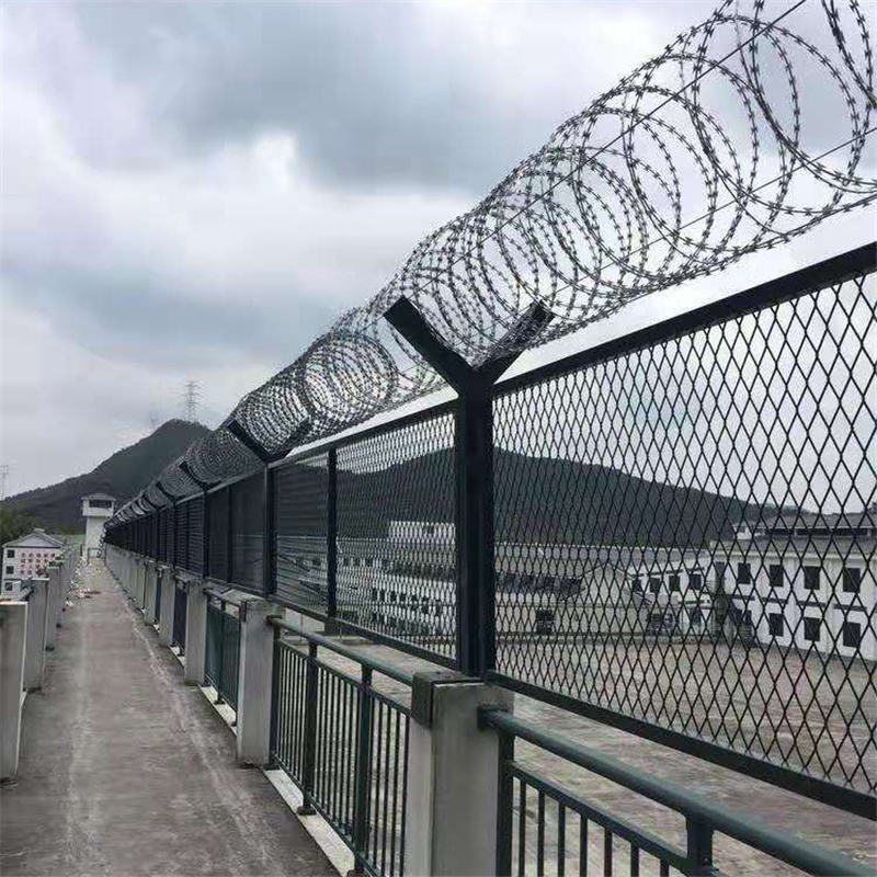 戒毒所防逃鐵絲網(wǎng)圖片2