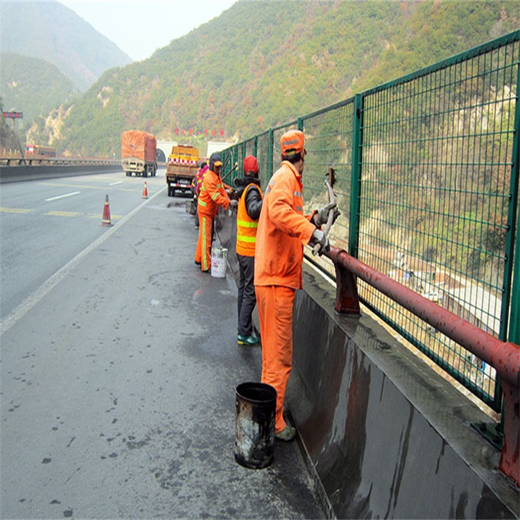 公路橋梁護(hù)欄圖片1