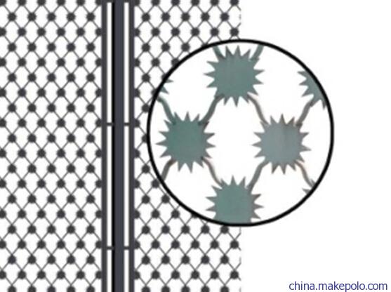 ?監(jiān)獄防攀爬隔離網圖片2