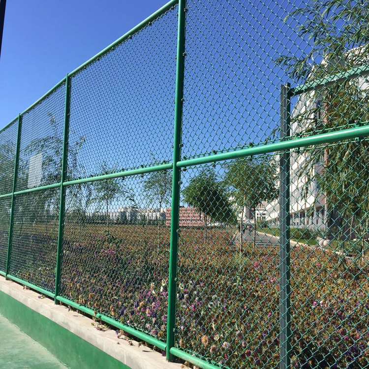 足球場圍欄防護網(wǎng)圖片1
